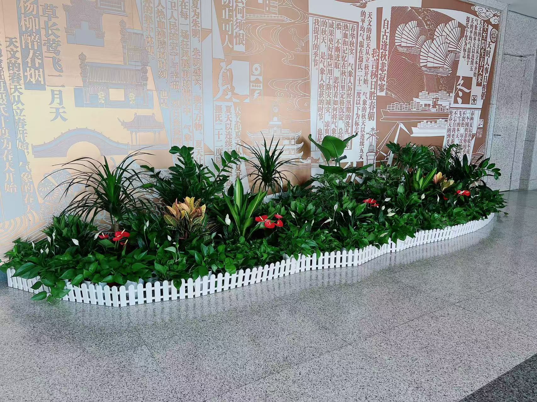 镇海盆景租赁价格